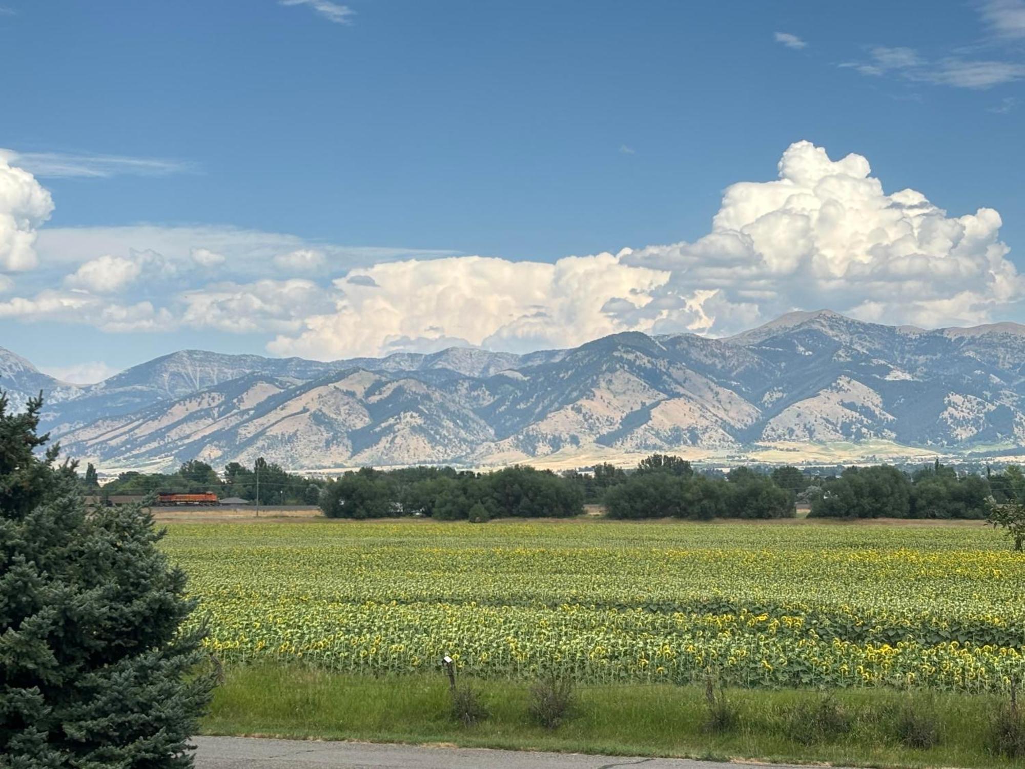 Fox Hollow Inn Bozeman Luaran gambar